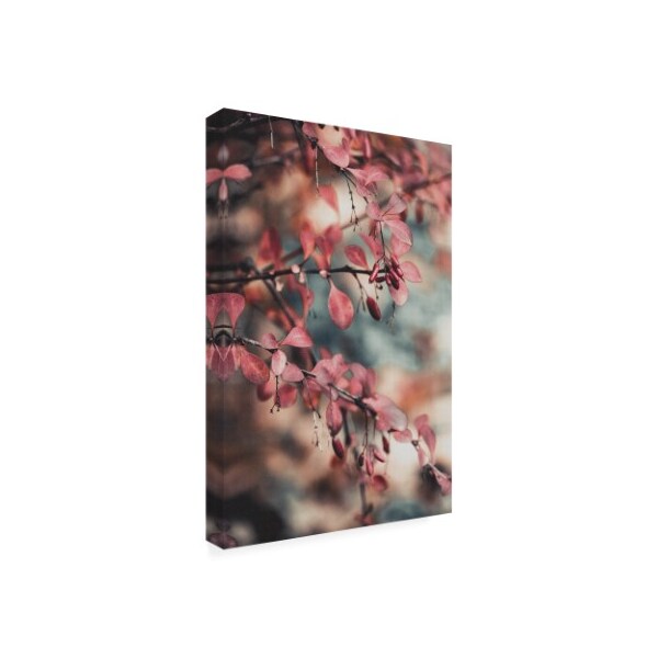 PhotoINC Studio 'Fall Pink Branches I' Canvas Art,22x32